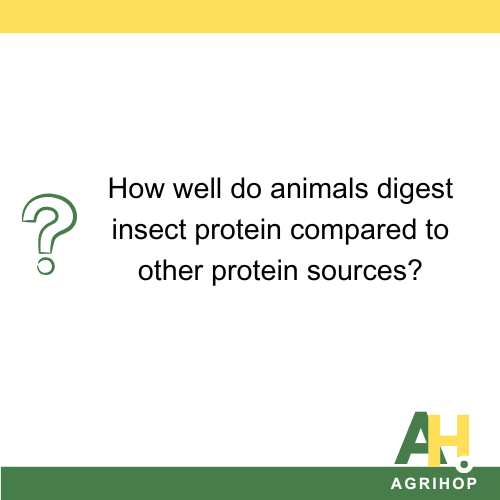 How well do animals digest insect protein compared to other protein sources?