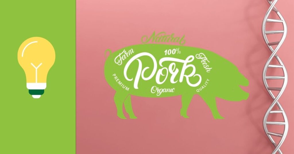 Must-know when selecting Genetics for Lean Meat, Marbling, and Feed ...