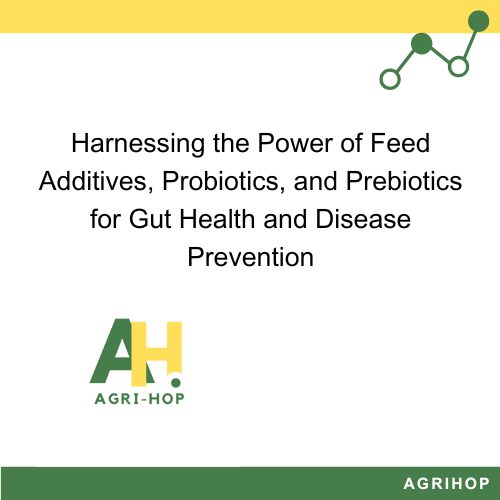 Harnessing the Power of Feed Additives, Probiotics, and Prebiotics for Gut Health and Disease Prevention