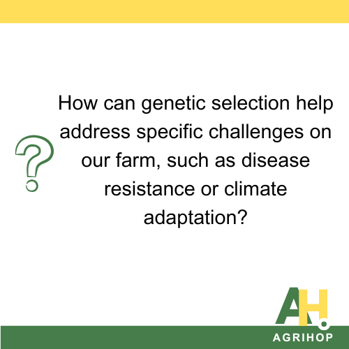 How can genetic selection help address specific challenges on our farm, such as disease resistance or climate adaptation?