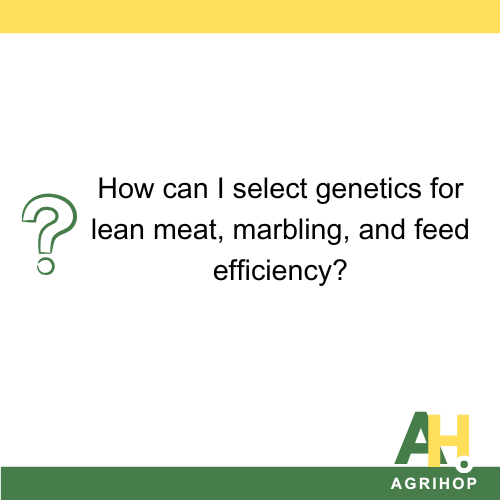 How can I select genetics for lean meat, marbling, and feed efficiency?