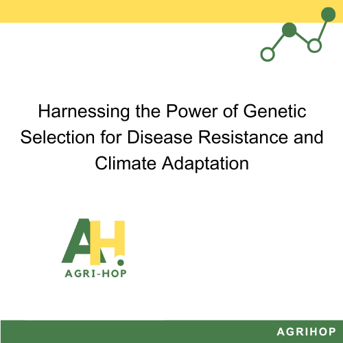 Harnessing the Power of Genetic Selection for Disease Resistance and Climate Adaptation