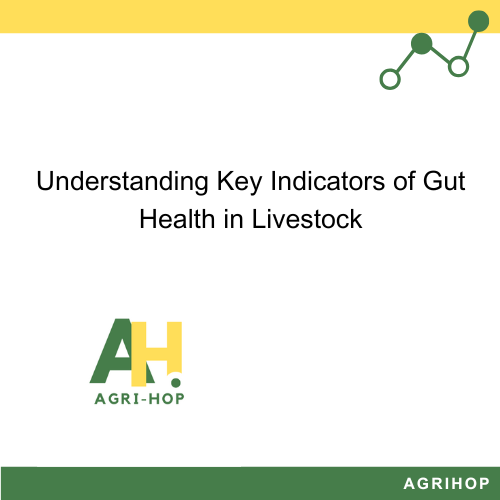 Understanding Key Indicators of Gut Health in Livestock