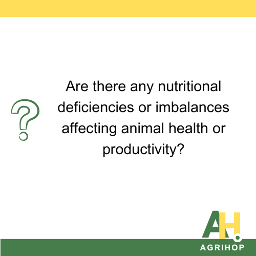 Are there any nutritional deficiencies or imbalances affecting animal health or productivity?