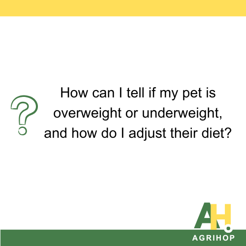 How can I tell if my pet is overweight or underweight, and how do I adjust their diet?