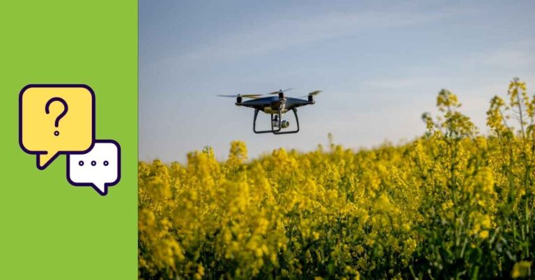 How the Circular Economy Is Changing Animal Nutrition?